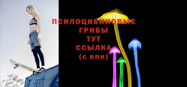 соль ск Липки
