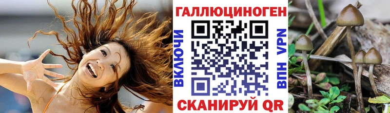 Купить  Краснокаменск  Галлюциногенные грибы MAGIC MUSHROOMS 